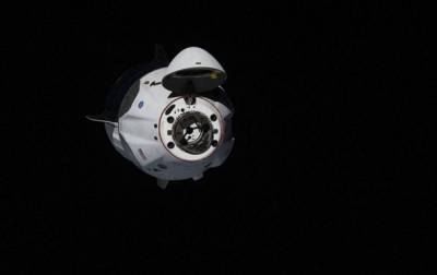 Роберт Бенкен - Херли Даг - Crew Dragon - В NASA спрогнозировали дату возвращения на Землю корабля Crew Dragon - korrespondent.net