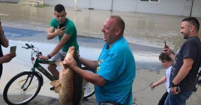 Паводок в Черновцах: на подтопленном Калиновском рынке мужчина поймал большую рыбу - tsn.ua - Черновцы