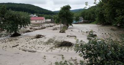 Вырубка лесов или сильные осадки: что привело к масштабным наводнениям на западе Украины - tsn.ua - Украина - Львовская обл.