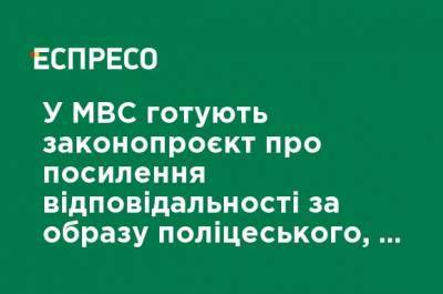 Ирина Геращенко - В МВД готовят законопроект об усилении ответственности за оскорбление полицейского, - Геращенко - ru.espreso.tv - Украина