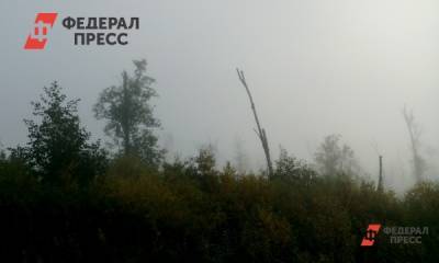 В Томской области пожар охватил 104 гектара леса - fedpress.ru - Томск - Томская обл.