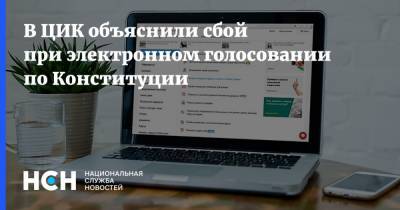 Алексей Венедиктов - Антон Лопатин - В ЦИК объяснили сбой при электронном голосовании по Конституции - nsn.fm - Москва - Россия - Нижегородская обл.