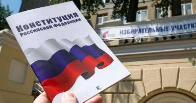 Павел Лобков - Журналисту удалось дважды проголосовать по поправкам в Конституцию - readovka.news - Москва - Россия