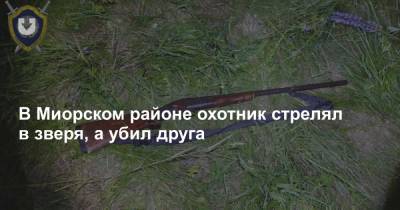 В Миорском районе охотник стрелял в зверя, а убил друга - news.tut.by - Следственный Комитет