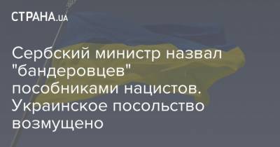 Сербский министр назвал "бандеровцев" пособниками нацистов. Украинское посольство возмущено - strana.ua - Россия - Украина - Сербия