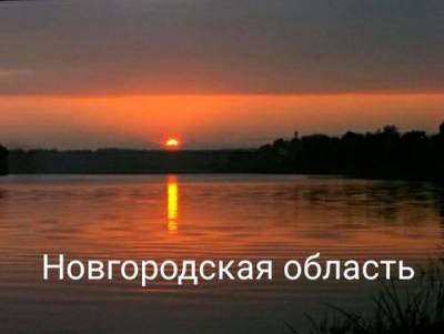 Население Новгородской области: численность, гендерная и возрастная структура, прогноз до 2024 года - argumenti.ru - Россия - Новгородская обл.