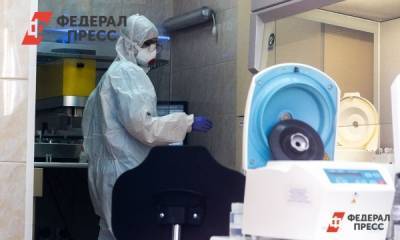 В Кургане за сутки выявили 19 новых инфицированных коронавирусом - fedpress.ru - Курган - Шадринск - Белозерск