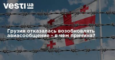 Грузия отказалась возобновлять авиасообщение - в чем причина? - vesti.ua - Украина - Грузия