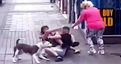 Женщина избила молотком мужчину, которого пытался покусать ее пес - ren.tv