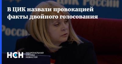 Элла Памфилова - Павел Лобков - В ЦИК назвали провокацией факты двойного голосования - nsn.fm - Москва - Россия