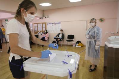 Вадим Ковалев - Москвичам рассказали, когда наступит пик скопления голосующих на участках - vm.ru - Москва - Конституция