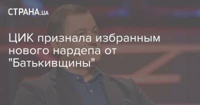 Ольга Белькова - ЦИК признала избранным нового нардепа от "Батькивщины" - strana.ua - Украина