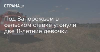Под Запорожьем в сельском ставке утонули две 11-летние девочки - strana.ua - Запорожье