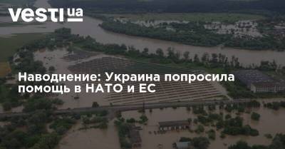 Наводнение: Украина попросила помощь в НАТО и ЕС - vesti.ua - Украина - Ивано-Франковская обл.