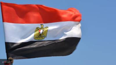 Самех Шукри - Глава МИД Египта: решение ЛАГ подтвердило единство арабских стран в ливийском вопросе - polit.info - Россия - Египет - Ливия