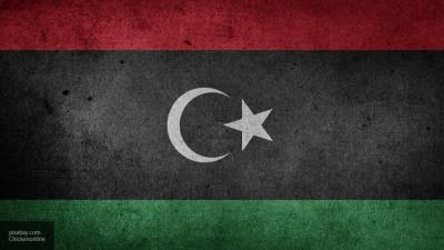 Самех Шукри - МИД Египта: решение ЛАГ говорит о единстве арабских стран в борьбе с терроризмом в Ливии - politros.com - Россия - Египет - Анкара - Ливия