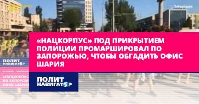 Анатолий Шария - «Нацкорпус» под прикрытием полиции промаршировал по Запорожью... - politnavigator.net - Россия - Украина - Киев - Запорожье