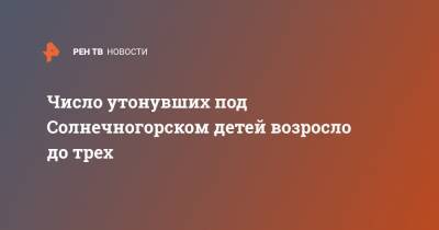 Число утонувших под Солнечногорском детей возросло до трех - ren.tv - Московская обл. - Солнечногорск