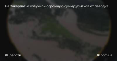 Алексей Петров - На Закарпатье озвучили огромную сумму убытков от паводка - 1k.com.ua - Закарпатская обл. - район Раховский