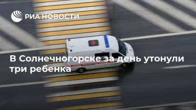 Ольга Врадий - В Солнечногорске за день утонули три ребенка - ria.ru - Москва - Россия - Московская обл. - Солнечногорск