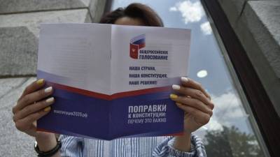 Андрей Климов - В Совфеде заявили о попытках Запада повлиять на голосование по поправкам в Конституцию - 5-tv.ru - Россия