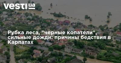 Рубка леса, "черные копатели", сильные дожди: причины бедствия в Карпатах - vesti.ua - Украина - Ивано-Франковская обл.