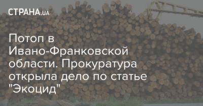 Потоп в Ивано-Франковской области. Прокуратура открыла дело по статье "Экоцид" - strana.ua - Украина - Ивано-Франковская обл.