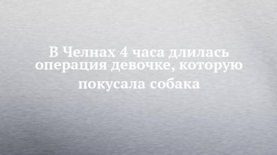 В Челнах 4 часа длилась операция девочке, которую покусала собака - chelny-izvest.ru