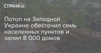 Потоп на Западной Украине обесточил семь населенных пунктов и залил 8 000 домов - strana.ua - Украина - Ивано-Франковская обл. - Черновицкая обл. - Львовская обл. - Гсчс