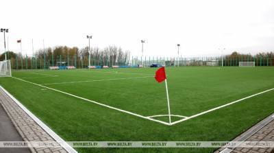 В Беларуси в 2021 году появятся 11 футбольных полей высокого качества - belta.by - Белоруссия - Минск - Светлогорск - Гомель - Речица - Орша - Калинковичи