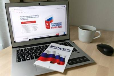 Общая явка на электронное голосование по Конституции превысила 50% - aif.ru - Москва - Россия - Нижегородская обл.