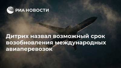 Евгений Дитрих - Дитрих назвал возможный срок возобновления международных авиаперевозок - ria.ru - Россия - Волгоград