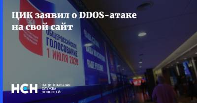 Николай Булаев - ЦИК заявил о DDOS-атаке на свой сайт - nsn.fm - Москва - Россия - Нижегородская обл.