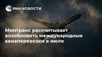 Евгений Дитрих - Минтранс рассчитывает возобновить международные авиаперевозки в июле - ria.ru - Россия - Волгоград