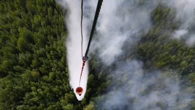 Минприроды РФ предлагает сократить зоны контроля лесных пожаров - ru-bezh.ru - Россия