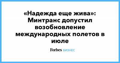 «Надежда еще жива»: Минтранс допустил возобновление международных полетов в июле - forbes.ru - Россия - Минтранс