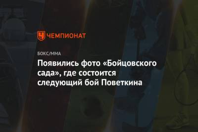 Александр Поветкин - Эдди Хирн - Уайт Диллиан - Появились фото «Бойцовского сада», где состоится следующий бой Поветкина - championat.com - Россия - Англия