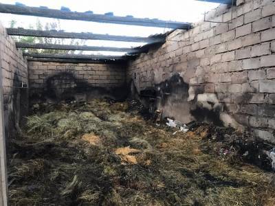 В посёлке Дивный сгорели частный гараж и сено - ulpravda.ru - Ульяновская - район Мелекесский