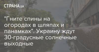 Наталья Диденко - Наталка Диденко - "Гните спины на огородах в шляпах и панамках". Украину ждут 30-градусные солнечные выходные - strana.ua - Украина - Киев