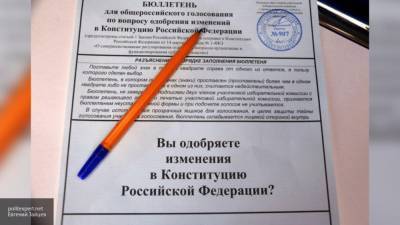 Блогер - Экстрим-блогер Панда приняла участие в голосовании по поправкам к Конституции РФ - newinform.com - Россия - Конституция