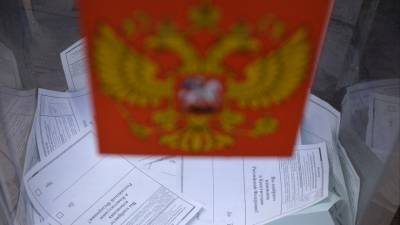 Иностранные эксперты наблюдают за ходом голосования по поправкам в Конституцию РФ - 5-tv.ru - Москва - Россия - Санкт-Петербург - Германия - Берлин