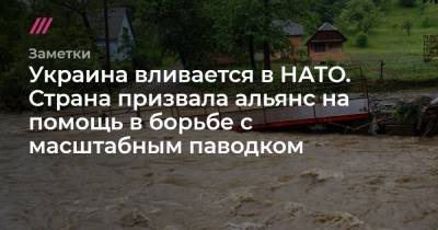 Арсен Аваков - Украина вливается в НАТО. Страна призвала альянс на помощь в борьбе с масштабным паводком - tvrain.ru - Украина - Румыния - Ивано-Франковская обл. - Черновицкая обл.