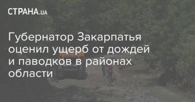 Алексей Петров - Губернатор Закарпатья оценил ущерб от дождей и паводков в районах области - strana.ua - Украина - Ивано-Франковская обл. - Ивано-Франковск - Черновицкая обл. - Львовская обл. - Закарпатская обл.