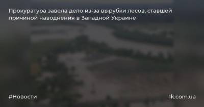 Прокуратура завела дело из-за вырубки лесов, ставшей причиной наводнения в Западной Украине - 1k.com.ua - Украина - Ивано-Франковская обл.