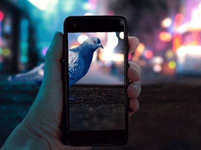 Эксперт объяснил причины утечки данных в Telegram - live24.ru - Москва