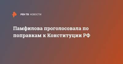 Владимир Путин - Элла Памфилова - Памфилова проголосовала по поправкам к Конституции РФ - ren.tv - Россия - Конституция