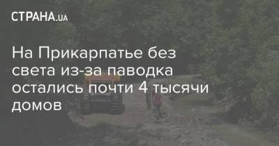 На Прикарпатье без света из-за паводка остались почти 4 тысячи домов - strana.ua - Украина - Ивано-Франковская обл. - Черновицкая обл. - Львовская обл. - Гсчс