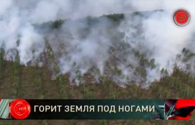 Загорелся торфяник в Витебском районе: на тушение пожара были направлены 7 спецмашин и более 30 спасателей - ont.by - район Витебский