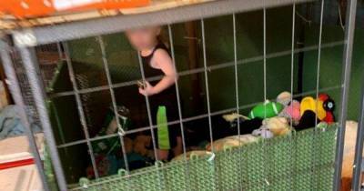 Родители-наркоманы держали ребенка в клетке рядом со змеями - ren.tv - США - штат Теннесси - USA - Нэшвилл