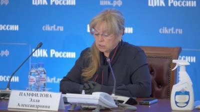 Элла Памфилова - ЦИК: Явка на голосовании по Конституции составила 19,49% за два дня - piter.tv - Россия